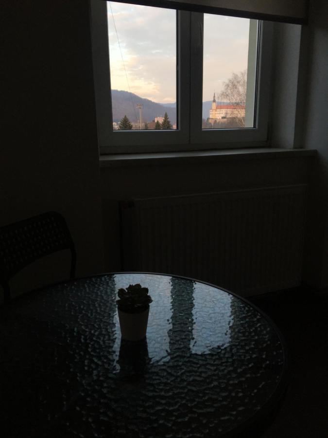Apartmany U Muzea Decin Exterior photo