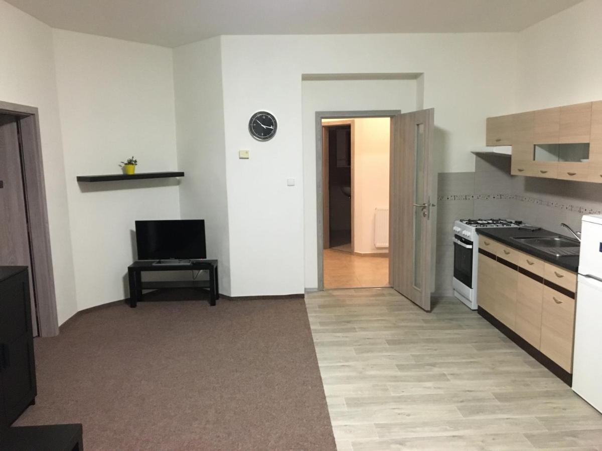 Apartmany U Muzea Decin Exterior photo