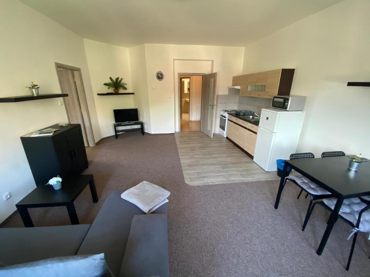 Apartmany U Muzea Decin Exterior photo